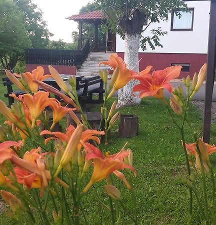Guest House Antonela Smoljanac Exterior photo