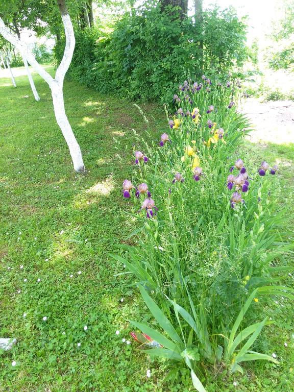 Guest House Antonela Smoljanac Room photo