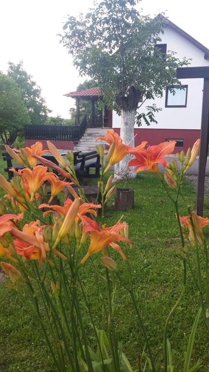 Guest House Antonela Smoljanac Exterior photo