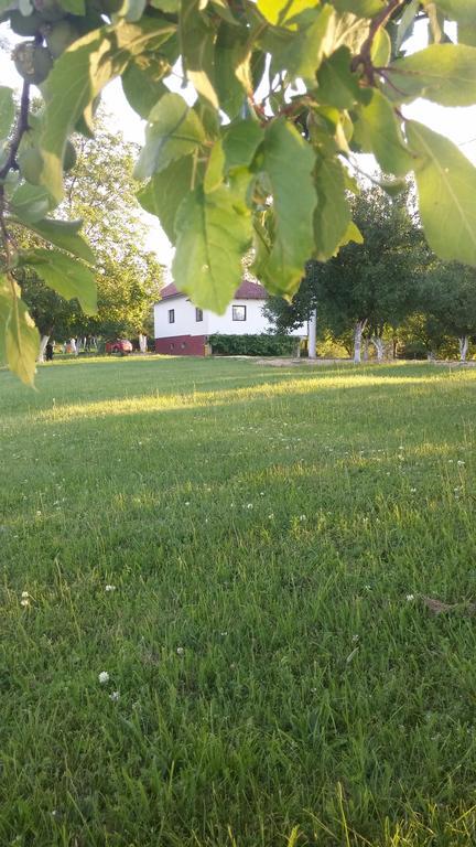 Guest House Antonela Smoljanac Exterior photo